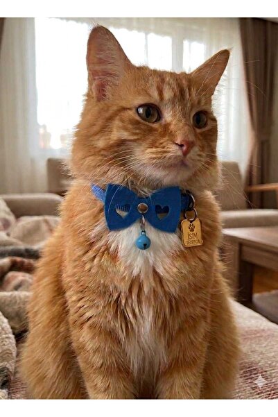 hebmeyy Kişiye Özel Kedi Isim Künyesi Isimlik Ve Papyonlu Kedi Tasması