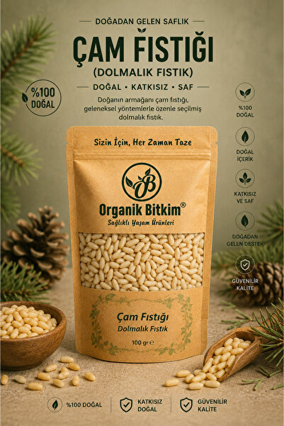 OB Organik Bitkim Çam Fıstığı (DOLMALIK FISTIK) 100 gr