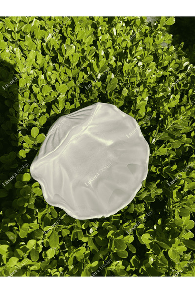 Lusora Design İnci Sedefli İstiridye Dekoratif Takı Tabağı, Parlak İstiridye,...
