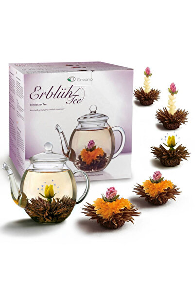 Creano Set cadou ErbluhTee Mix, ceainic de sticlă de 500 ml și 6 bile de ceai...