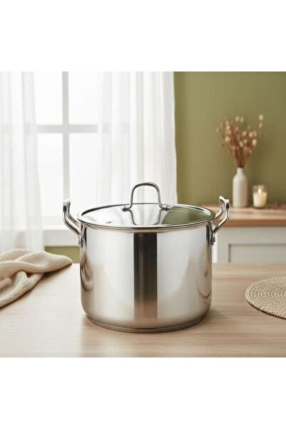 PAN HOME Splendor Triply Stainless Steel Cooking Pot With Lid Dia28cm -chrome