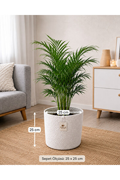 Efuliz Home Jüt Hasır Çok Amaçlı Dekoratif Organizer Saksı Sepeti Bahçe Düzen...