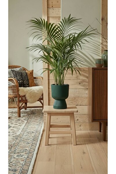 Bliss Lotus Vazo Saksı 1,8 Litre Plastik Çiçek Saksısı Salon Saksısı
