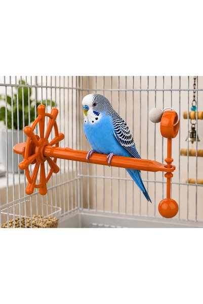 PatiNova Bird Play Wheel Orange