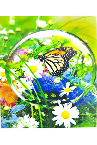 Liva Craft Bead Craft Kit 50 X 40 Butterfly in a Balloon