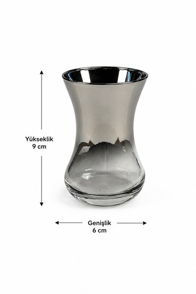 LOVAL Dila Series Glass Titanium Coated Silver Tea Cup Set 12 Pieces Modern Presentation Set for 6 People