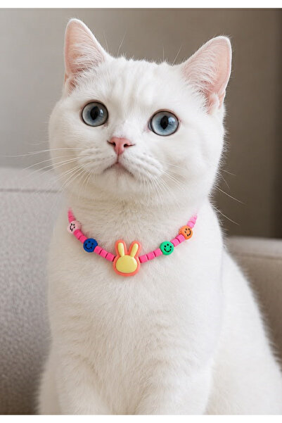Pawellia.co Stylish Design Cat Collar Cat Necklace Small Breed Dog Collar Dog...