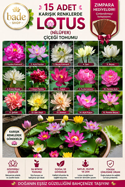 Bade Shop 15 Adet Karışık Lotus (Nilüfer) Çiçeği Tohumu – Japon Su Zambağı – ...