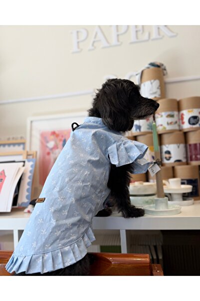 PATİLİNKA Cat - Dog 100% Cotton Poplin Summer Shirt - Undershirt - Dress - Ou...