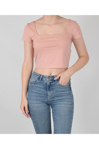 Evendi Top, Roz
