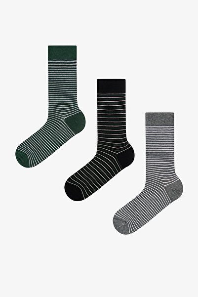 Penti Men's Forest Lines Cotton Striped 3-Pair Socks