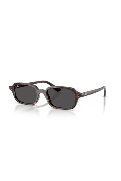 Ray-Ban 0RB4455 135987 52