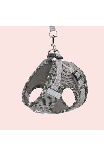 Choice حزام كلب GRAY S Supet مكون من قطعة واحدة، مضاد للسحب، حزام للحيوانات ا...