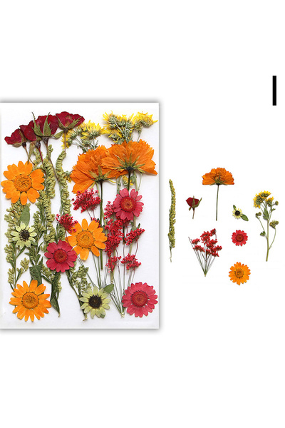 Choice4 I Dried Flowers Real Natural Plant Pressed Flower For Epoxy Resin Fil...