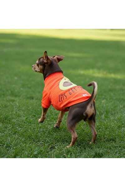 MİNİŞ PET BUTİK تي شيرت أفوكادو نيون برتقالي مرن للكلاب من السلالات الصغيرة (...
