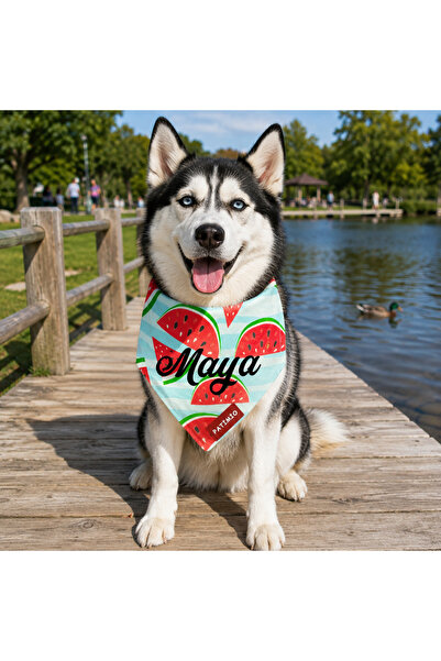 PATİMİO Isme Özel Kedi Ve Köpek Watermelon Tasma Fular Bandana