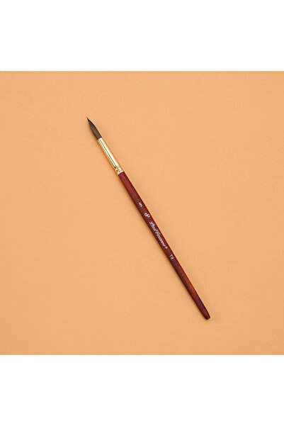 Choice 8 Mixed Hair Round Tip Mop Brush, Watercolor Pen Water Chalk Art Croch...