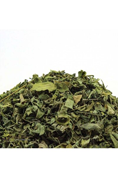 Natural Remedies عشبة المورينجا 100 جرام