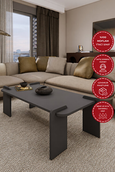 Odaco Fuji Modern Premium Oval Ayaklı %100 MDFLAM Salon Orta Sehpa 120x60x40 cm