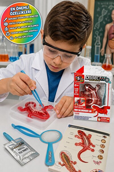 TOYFEST Slimy Lab Dissect It Mini Semender Laboratuvarı STEM Deney Seti 6+ An...