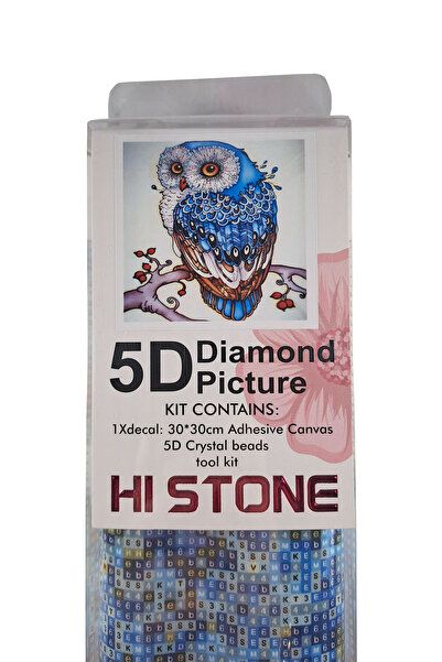 histone طقم تطريز بالألماس 5D مقاس 30x30 سم بنمط البومة الزرقاء