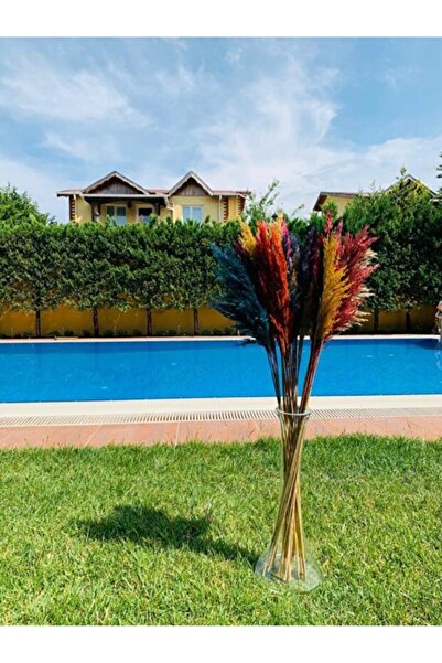 TROYA PAMPAS ÇİÇEĞİ DEKORATİF ÜRÜN EV VE İŞYERİ 10, LU RENKLİ PAMPAS