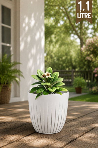 GİNZAMAİSON 1.1 Litre Line Model Dekoratif Çizgili Saksı – İç Mekan & Balkon ...
