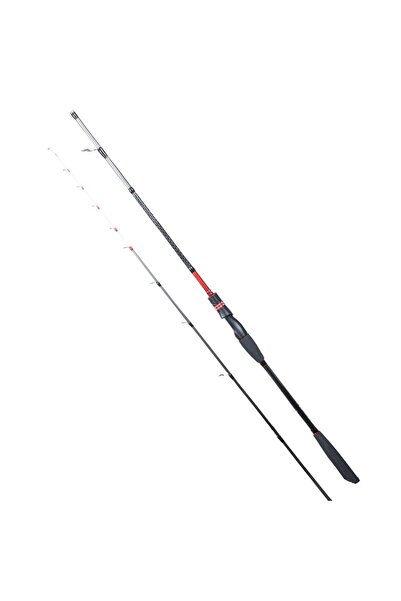 RYUJI Spectra SP 1.98M 70-300GR 2P Bot Kamışı