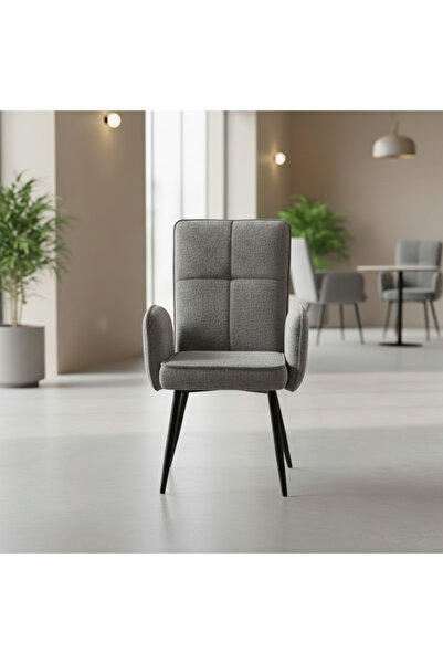 Ebticar Light Grey Chair with Modern Design