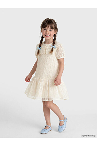 LC Waikiki Baby Collar Girl's Lace Dress