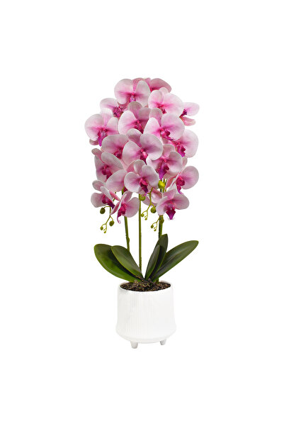 Naimeed Company Orhidee decorativă în ghiveci ceramic, 70 cm, Naimeed D4855, Roz