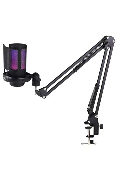 rayze Gaming PC USB Microphone Podcast Condenser Mic with Adjustable Arm Stan...