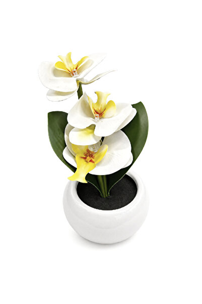 Evendi Artificial flower, White