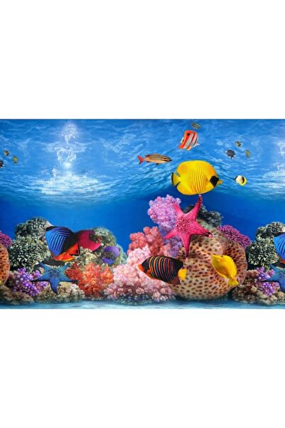 OEM Fundal acvariu dublu-fata, recif marin/plantat peisagistic, 28x50 cm
