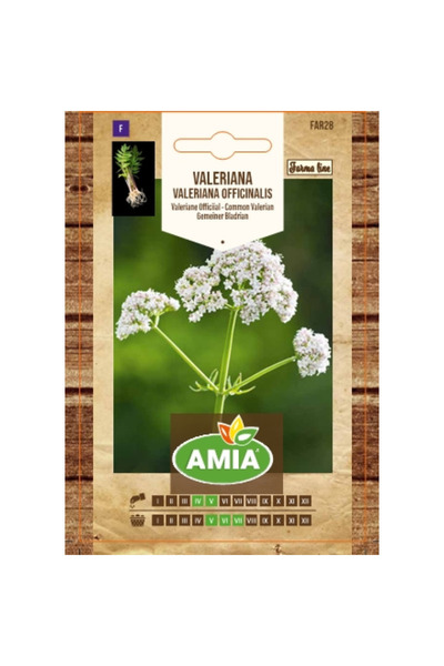 Amia Seminte de valeriana, Farma Line, Valeriana officinalis