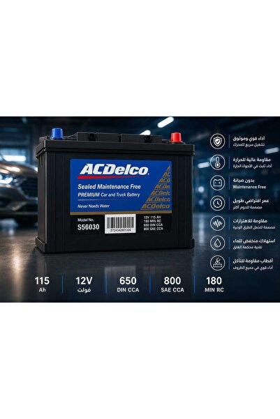 ACDELCO Aecee Deltaco Battery with 115 Ah Capacity- S2000
