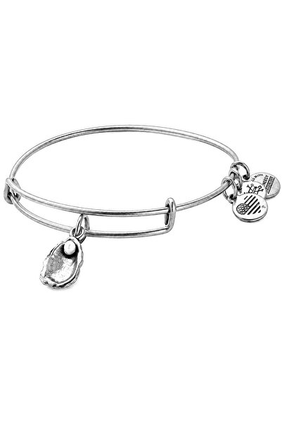 Alex and Ani Bratara Metal A17EBOYSRS