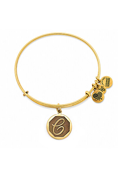 Alex and Ani Bratara Metal A13EB14CG