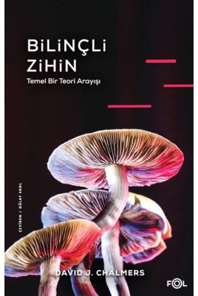 Vefa Yayınları Bilinçli Zihin –Temel Bir Teori Arayışı