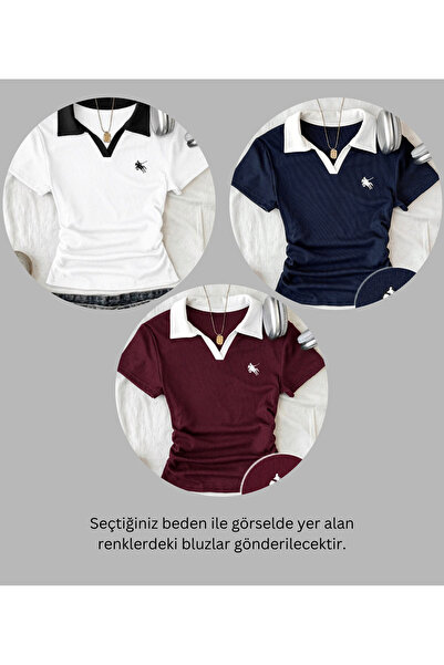 Gofeel 3 Lü Soul Renkli Polo Yaka Nakışlı Büzgülü Bluz