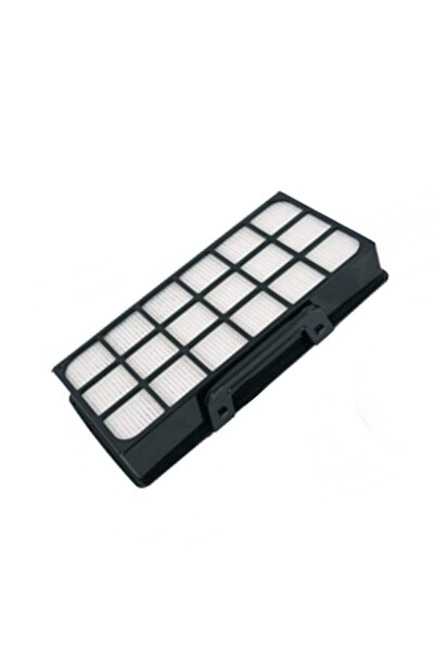 CLEANPOWER Xtrem Power Cyclonic Filtre Seti Ro 6921
