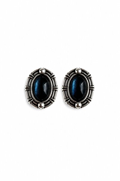 Charmist Steel Clara Earrings