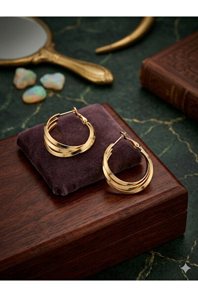 Bozhi Steel Earrings 39 Silver Special Gift