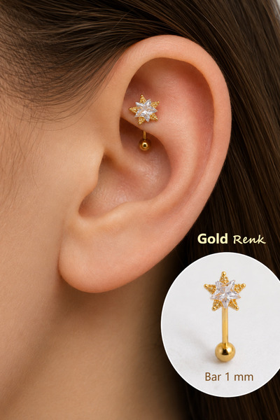 Sacce Scarves&Accessories Zirkon Taşlı Yıldız Rook Piercing Çelik Bar 1 mm