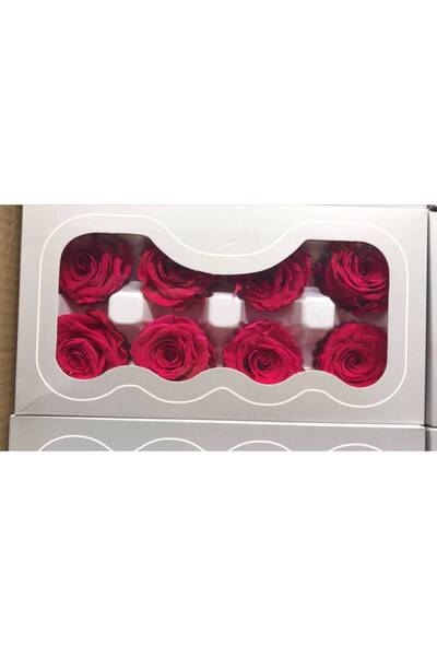 OEM Trandafiri criogenati, 8 bucati/cutie, diametru 5 cm Ciclam