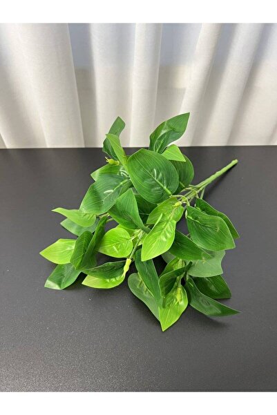 OEM Buchet Frunze Verde Lamaita