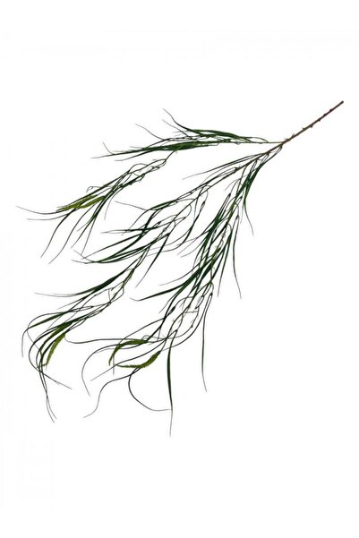 OEM Flori Artificiale Curgatoare Carex Foliosissima