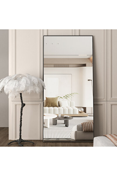 CASSILANDO Large Full Length Mirror 165x60cm, Floor Standing Mirror, Unique V...