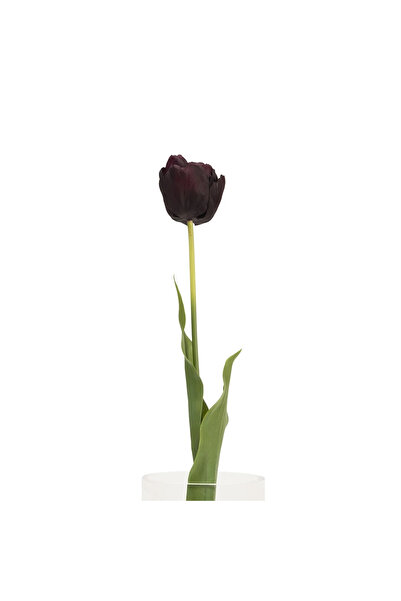 Midas Furniture ARTIFICIAL PLANT 66CM BURGUNDY