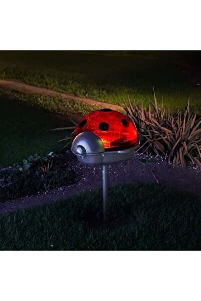OEM Lampă solară LED pentru grădină, albă, 5cm, stick exterior, fără cablu, d...